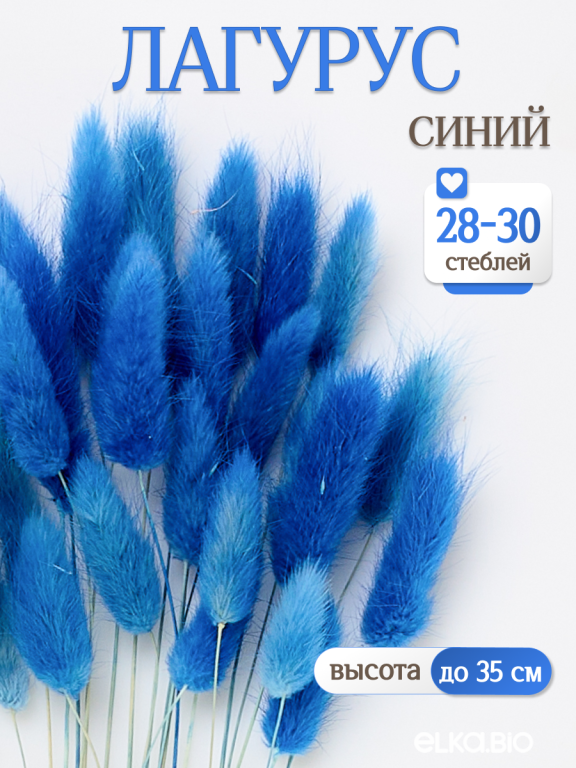 Лагурус синий 30 шт. Высший сорт. Высота 25-35 см М483