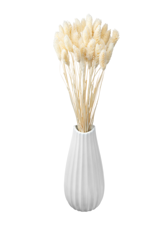 Фалярис белый  (40шт) М103