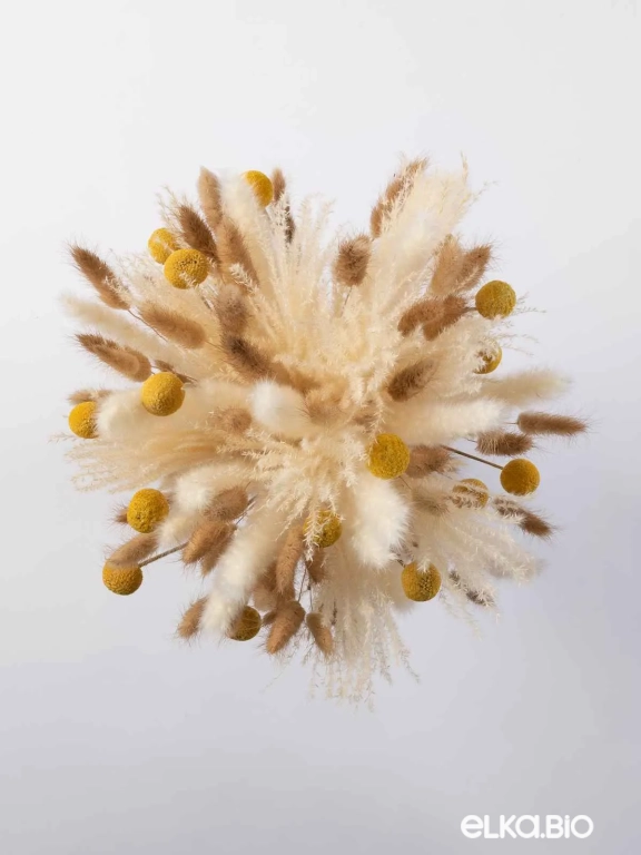 Набор сухоцветов для вазы. Набор М077