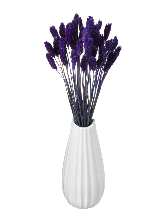 Фалярис тёмно-синий (40шт) М119 Фалярис тёмно-синий (40шт) М119