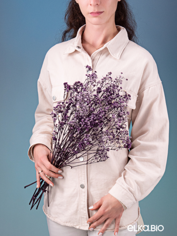 Гипсофила стабилизированная фиолетовая 140 гр. высший сорт М168