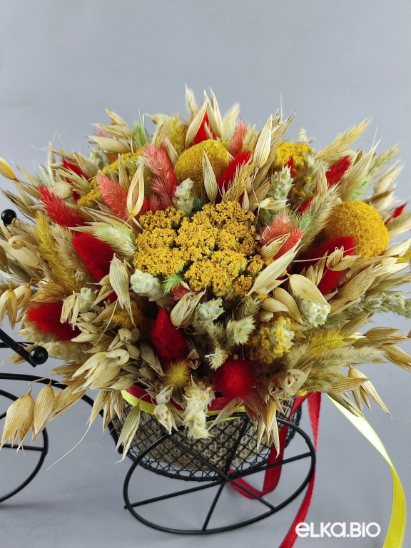 Велосипед с колосками овса и лагурусом Т134-B101