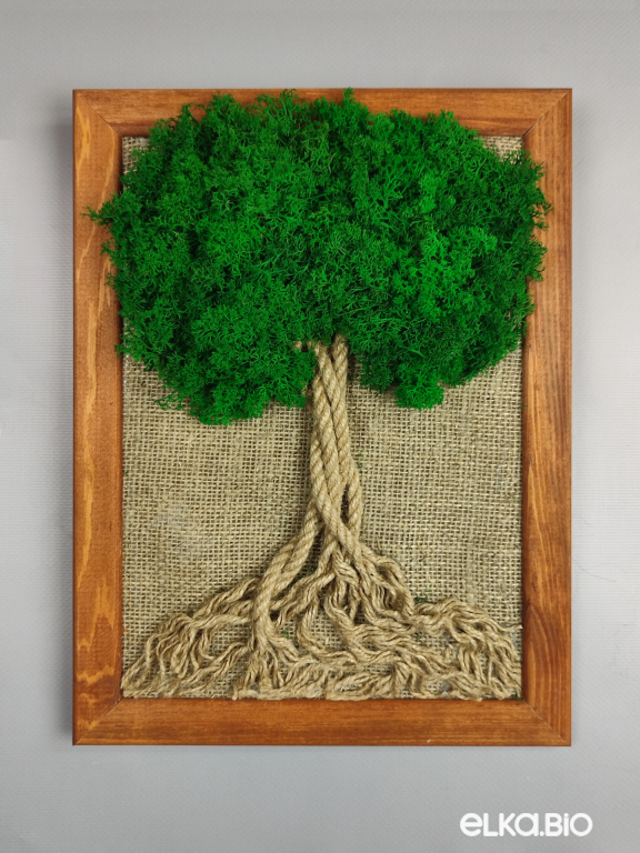 Панно на стену из зеленого мха и каната А134-B105