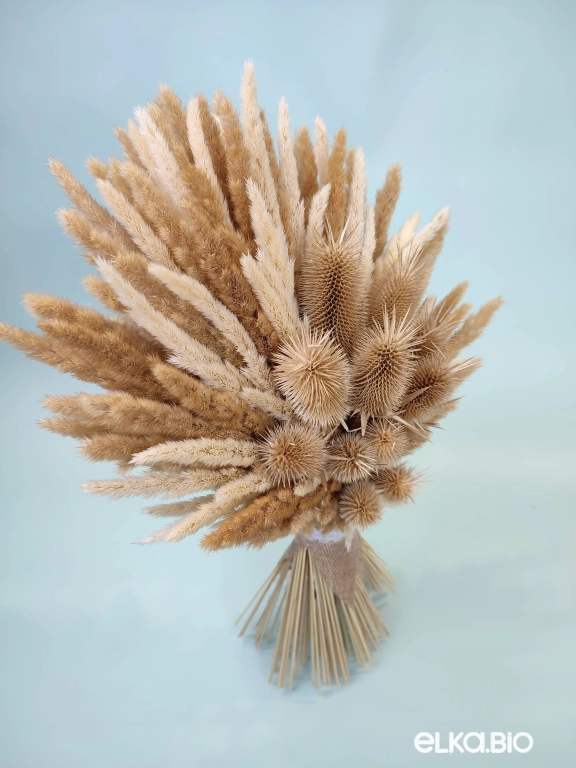 Бежевый букет из вейника и ворсянки Т215-B111