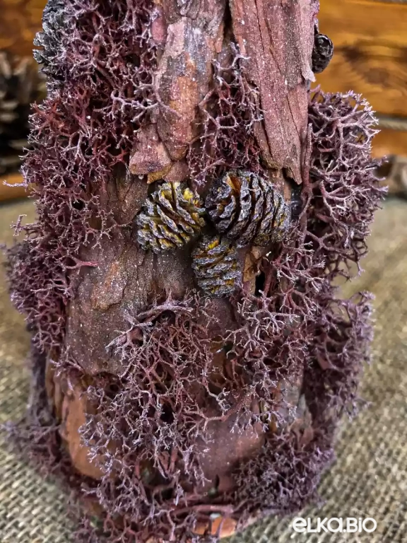 Настольная новогодняя елка из коры и мха Настольная Т33-В4