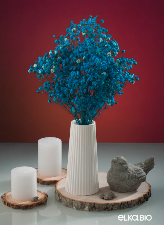 Гипсофила ярко-бирюзовая 50г.  Высший сорт - стабилизированная М627