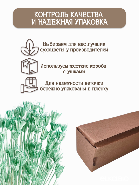 Нигелла морская волна 50г. Высший сорт. Высота 40-55 см. М726