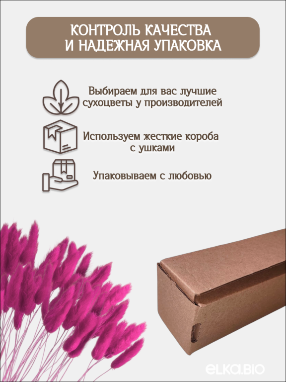 Лагурус фуксия 30 шт. Высший сорт. Высота 25-35 см М488