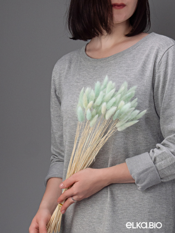 Лагурус светло-бирюзовый первый сорт - 300 шт