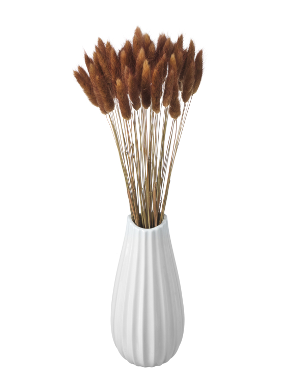 Лагурус шоколадный высший сорт - 60 шт Лагурус шоколадный высший сорт - 60 шт