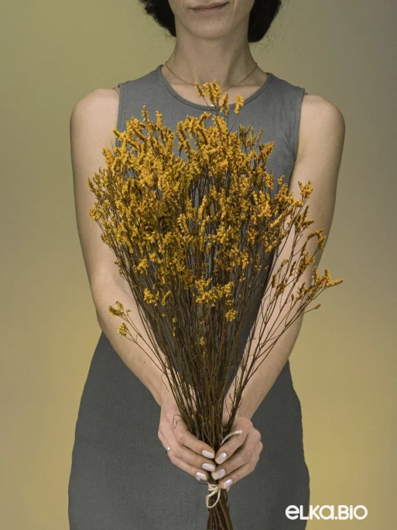 Цветы лимониума жёлтые (80г) М216