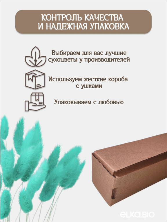 Лагурус мятный 30 шт. Высший сорт. Высота 25-35 см М701