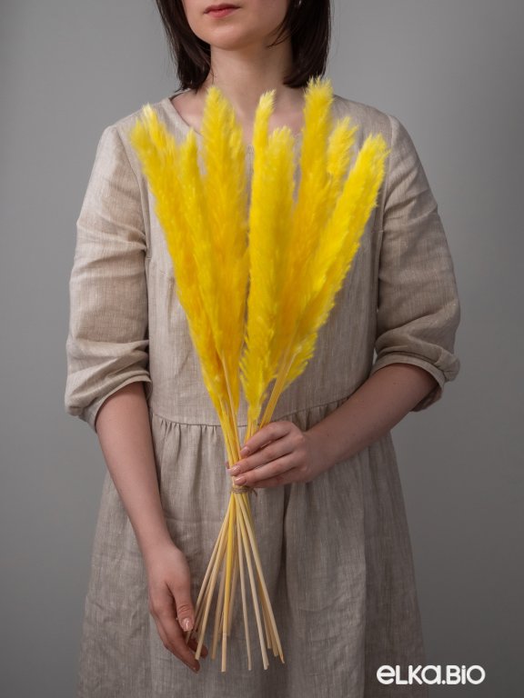 Трава сухоцвет пампас мини 90 шт. жёлтый первый сорт