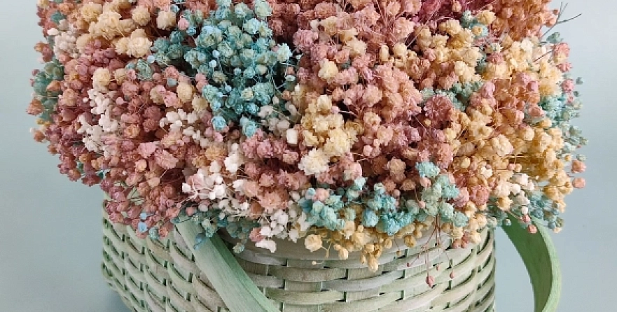 Уход за сухой гипсофилой: подробное руководство по сохранению красоты