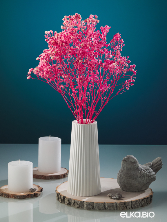 Гипсофила стабилизированная розовая 50 гр. высший сорт М176