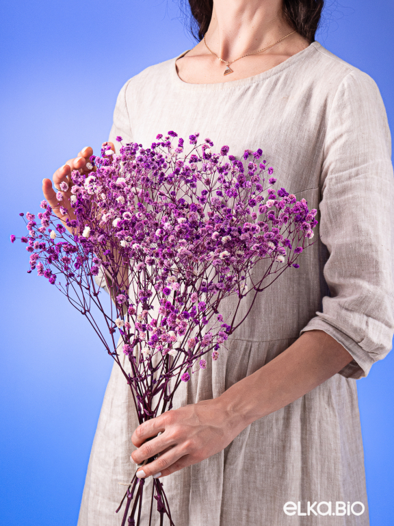 Гипсофила стабилизированная розово-фиолетовая 140 гр. высший сорт М167