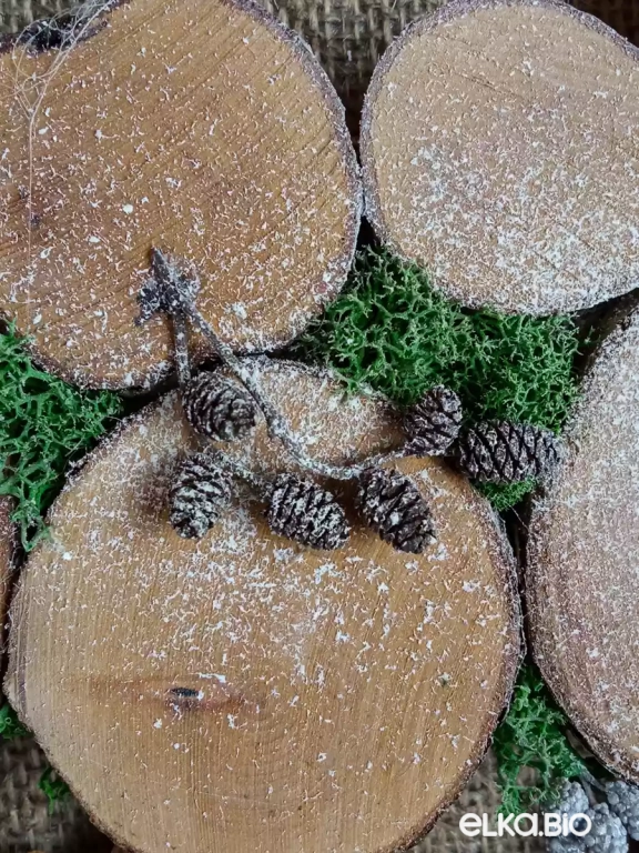 Венок декоративный из спилов и шишек ольхи Морозный лес П14-В14