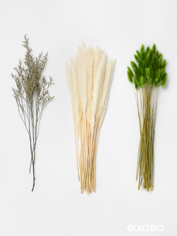 Изящный набор сухоцветов для вазы М085