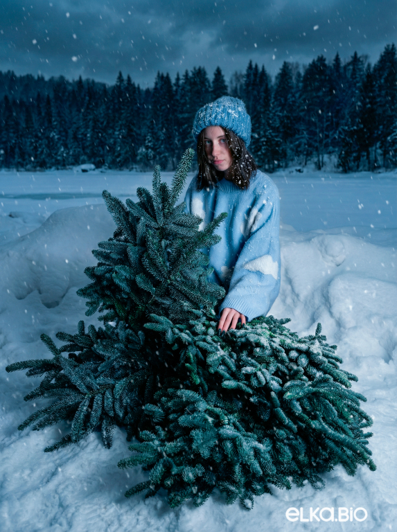 Лапник пихты Нобилис 15 кг