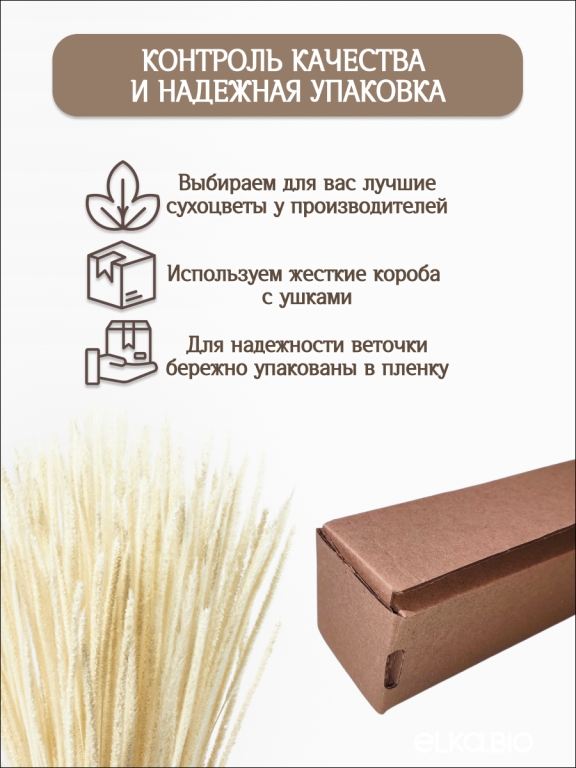 Алопекурус (тимофеевка) белый 150 шт. Высший сорт - до 50 см  М452