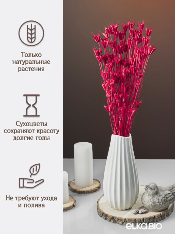 Нигелла вишневая 50 г. Высший сорт. Высота 40-55 см. М727