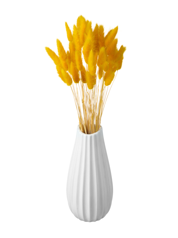 Лагурус тёмно-жёлтый первый сорт - 300 шт