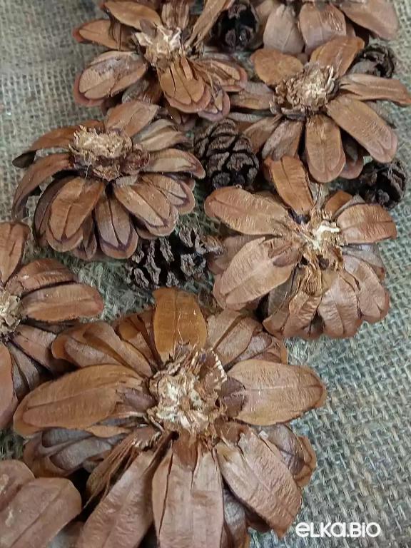 Венок декоративный из шишек Цветочная роса П16-В15