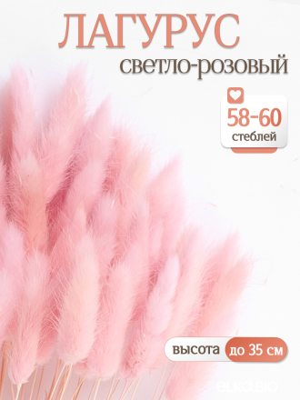 Лагурус светло-розовый 60 шт. Высший сорт. Высота 25-35 см. Высота 25-35 см М233