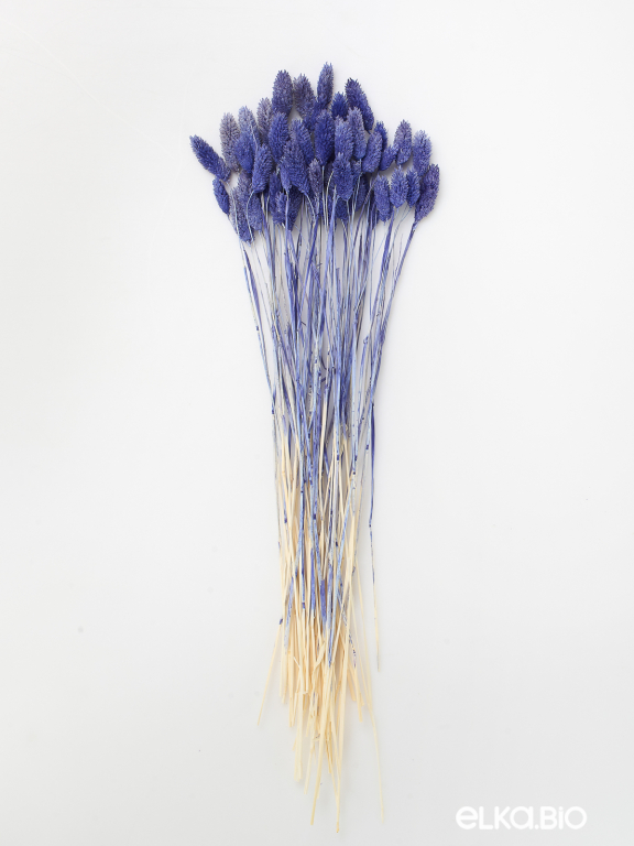 Фалярис синий (40шт) М114