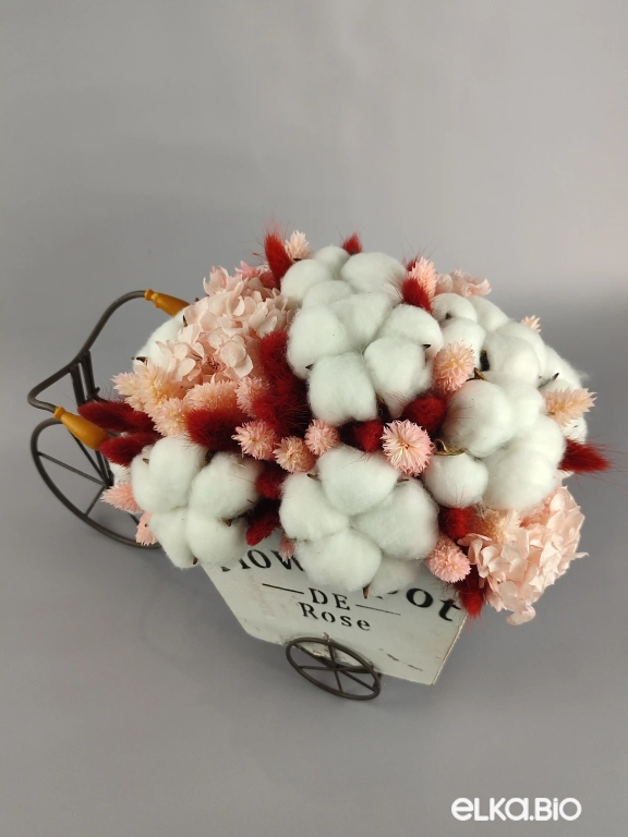 Велосипед с цветами лагуруса, фаляриса и цветками хлопка А99-B100