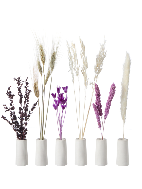 Сухоцветы для декора в наборе М317 Сухоцветы для декора в наборе М317