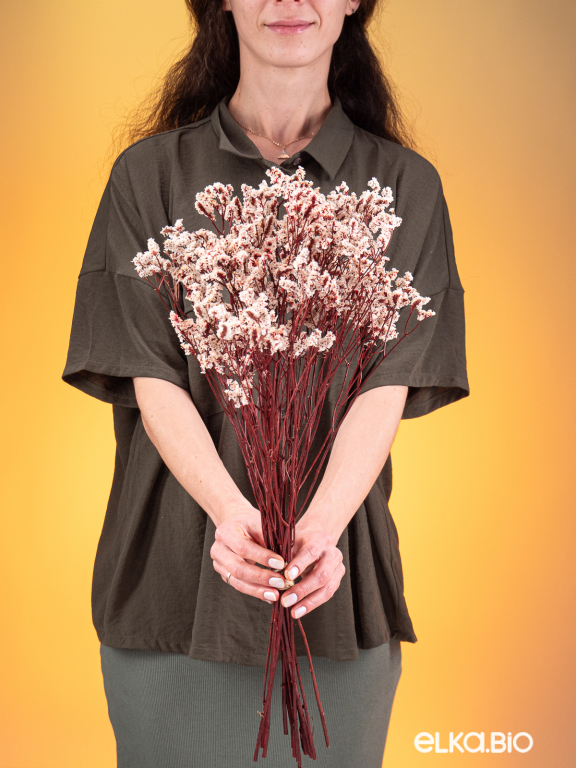 Цветы лимониума белые (80г) М215