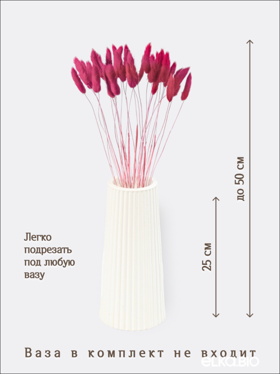 Лагурус фламинго 30 шт. Высший сорт. Высота 25-35 см М708