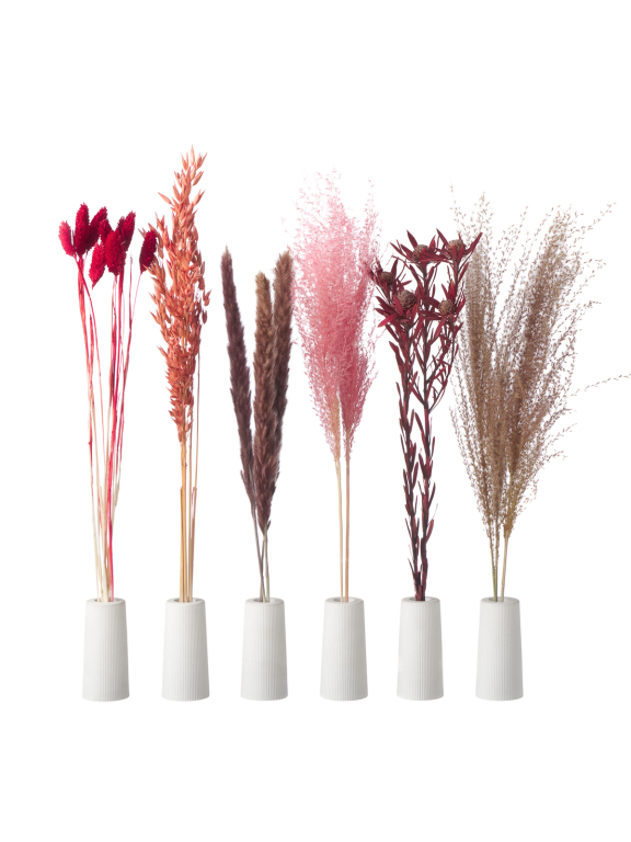 Сухоцветы в наборе для декора М330