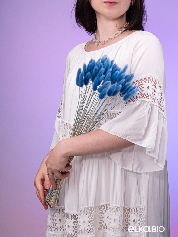 Лагурус синий первый сорт - 300 шт