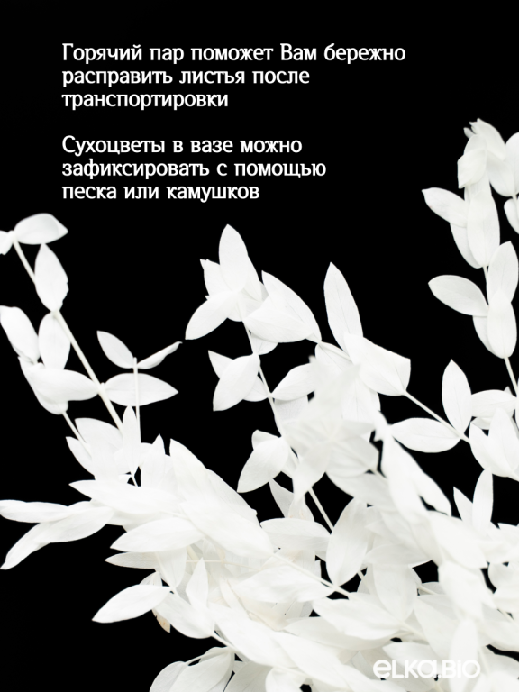 Эвкалипт Парвифолия белый 80г Высший сорт М673