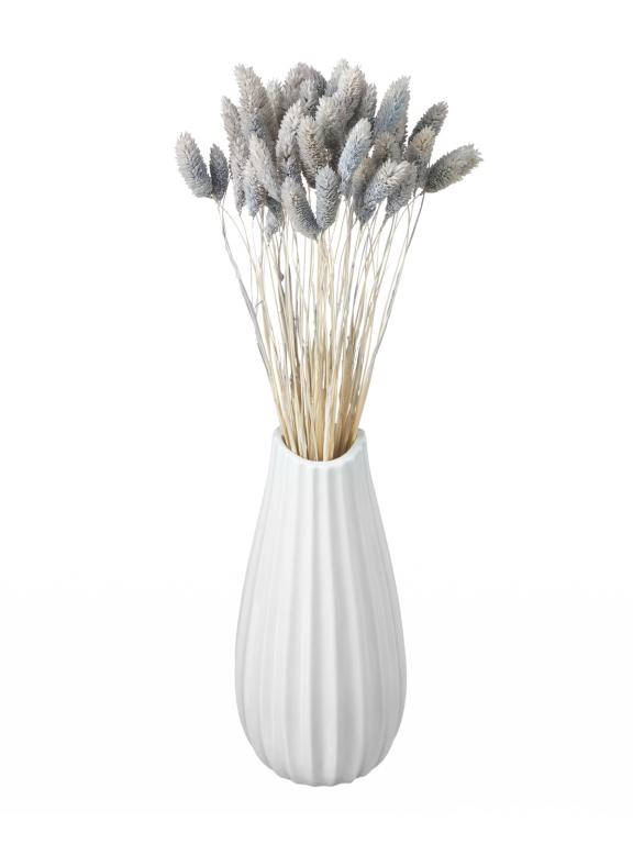 Фалярис серый (40шт) М113