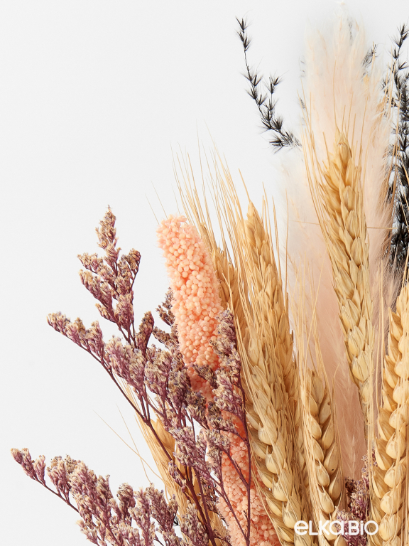 Набор натуральных сухоцветов М340