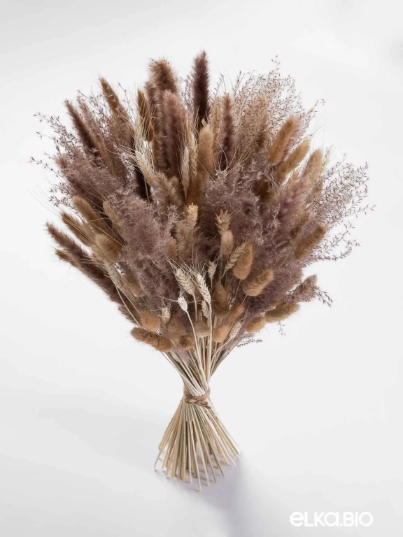 Сухоцветы для декора. Набор М059