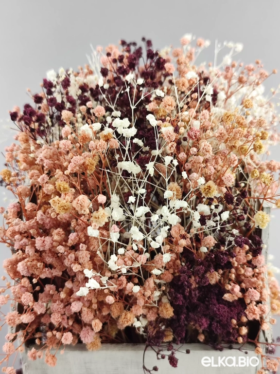 Композиция из гипсофилы Б48-B101