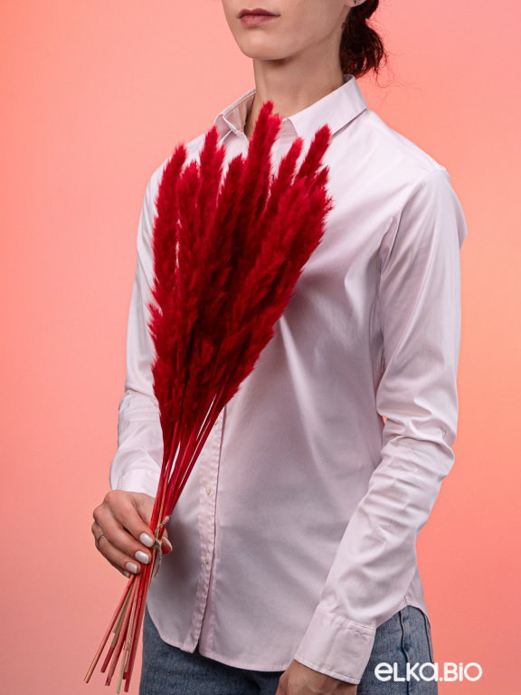 Трава сухоцвет пампас мини 90 шт. тёмно-красный первый сорт