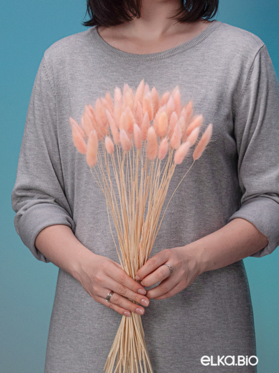 Лагурус светло-розовый высший сорт - 60 шт Лагурус светло-розовый высший сорт - 60 шт