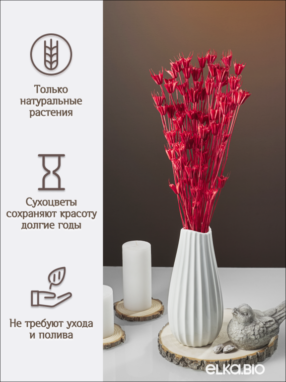 Нигелла красная 50г. Высший сорт. Высота 40-55 см. М409