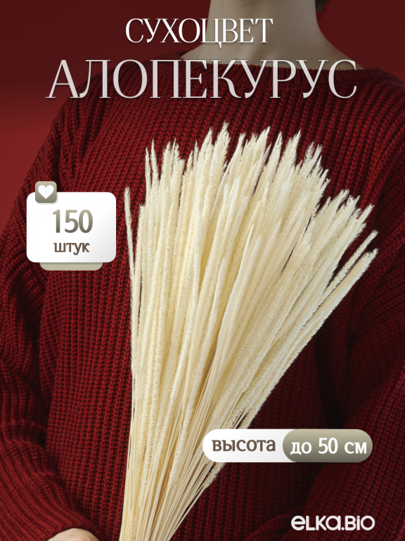 Алопекурус (тимофеевка) белый 150 шт. Высший сорт - до 50 см  М452