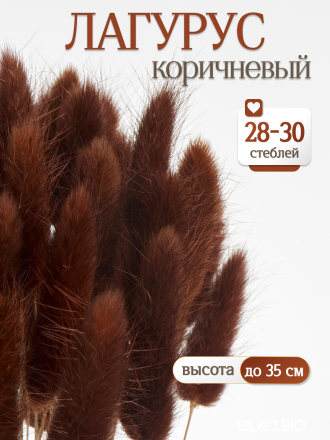 Лагурус коричневый 30 шт. Высший сорт. Высота 25-35 см М476