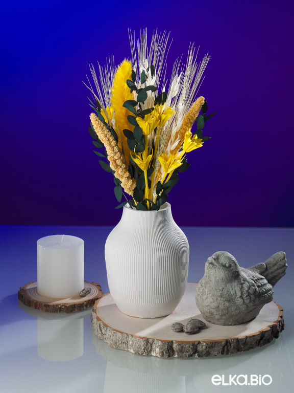 Яркие сухоцветы для декора в наборе М316