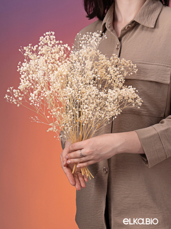 Гипсофила стабилизированная белоснежная 50 гр. высший сорт М169