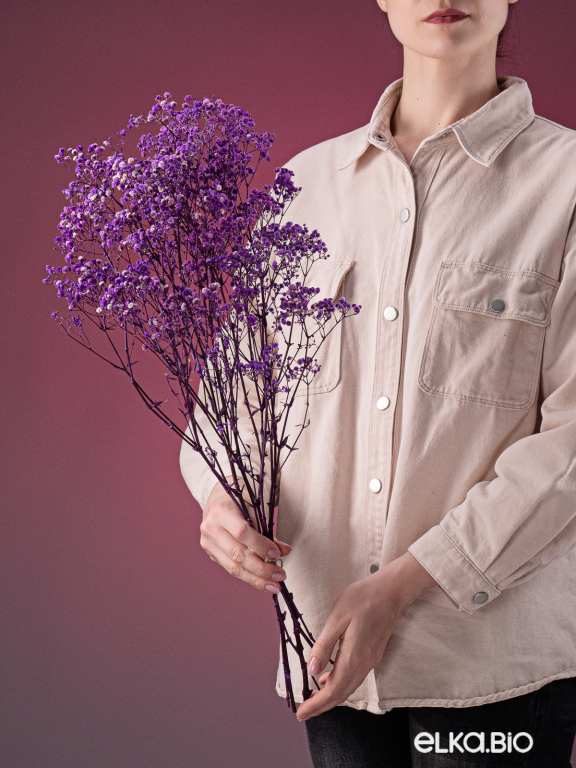 Гипсофила стабилизированная сиреневая 140 гр. высший сорт М166