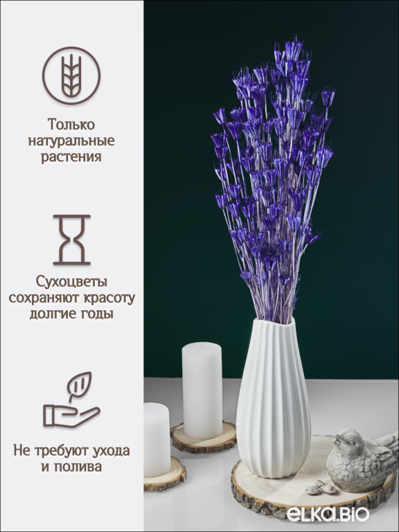 Нигелла синяя 50г. Высший сорт. Высота 40-55 см. М411