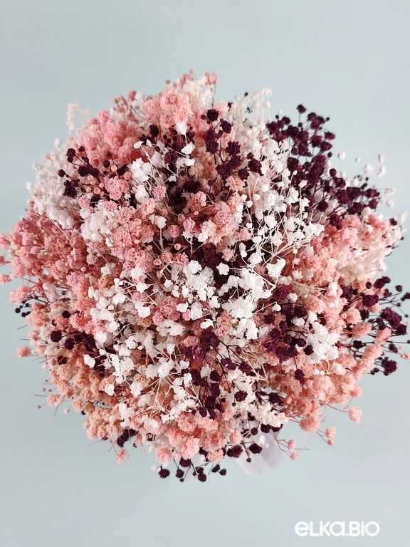 Cтабилизированный букет цветов из гипсофилы Б54-B103